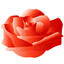 Rose icon