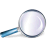 Zoom SH icon