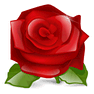 Rose with Shadow icon