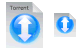 Torrent file icons
