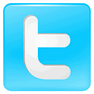 Twitter Button icon