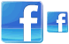 Facebook ico