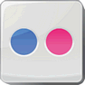 Flickr icon