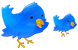 Twitter bird icons