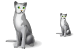 Cat SH icons