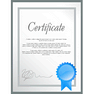 Certificate icon