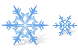 Snowflake SH ICO