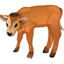 Calf icon