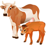 Cow And Calf icon