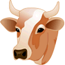 Cow Head icon