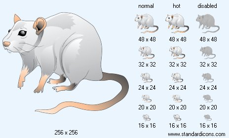 Rat Icon Images