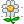 Flower icon
