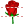 Rose icon