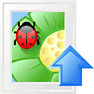Upload Image icon