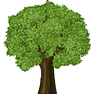 Tree icon