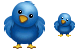 Twitter bird ico