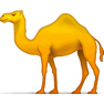 Camel icon