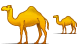 Camel ICO