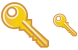 Key icon