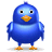 Twitter bird icon