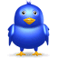 Twitter bird icon