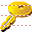 Key icon
